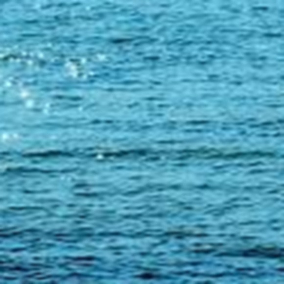 Meet your Posher, Zakia - Picture 1 of 1